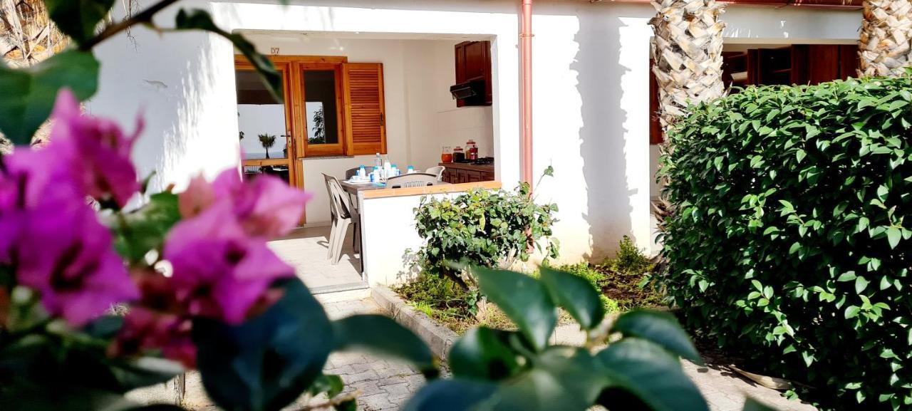 Ninfa Sul Mare Apartments 50 M E T R I Dal Mare Best Breakfast And Free Parking Капо Ватикано Екстериор снимка