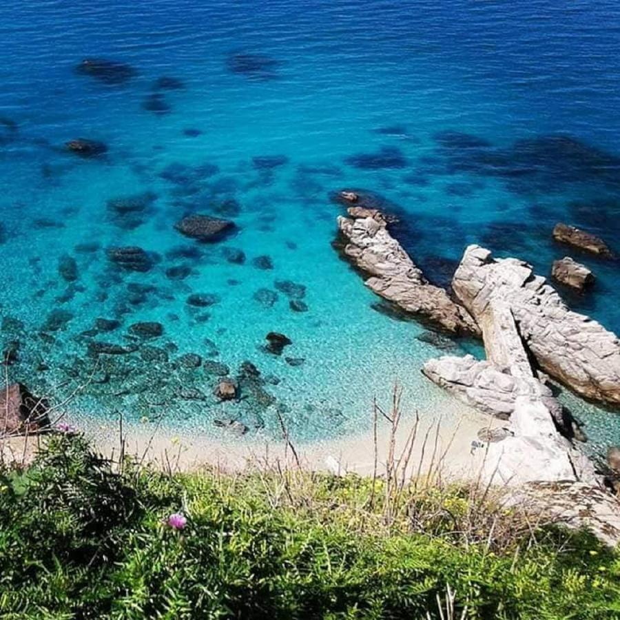 Ninfa Sul Mare Apartments 50 M E T R I Dal Mare Best Breakfast And Free Parking Капо Ватикано Екстериор снимка