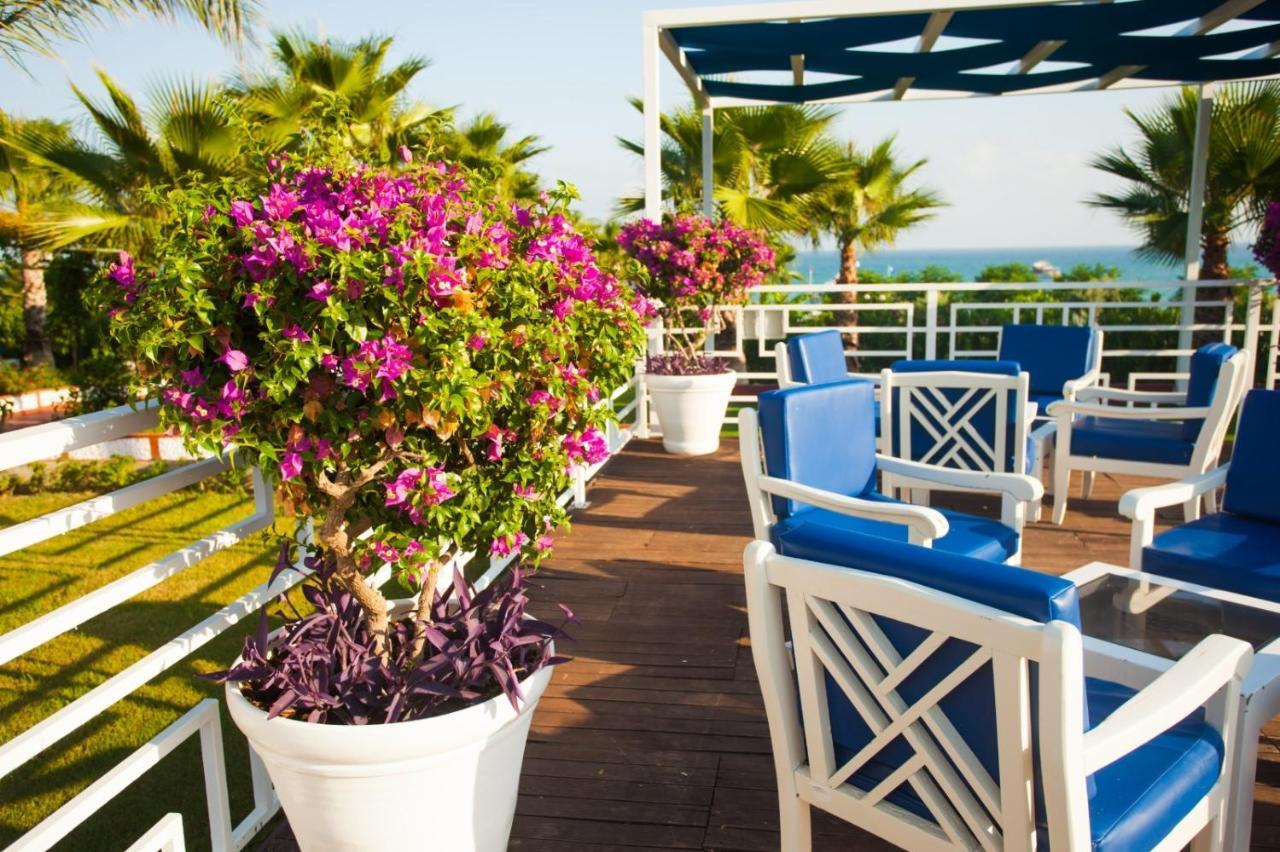 Ninfa Sul Mare Apartments 50 M E T R I Dal Mare Best Breakfast And Free Parking Капо Ватикано Екстериор снимка